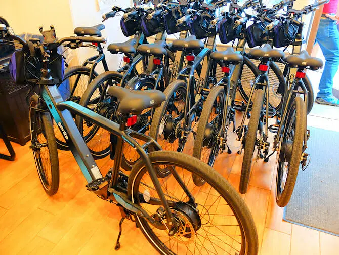Viajar a Nueva York con diversidad funcional - Bici eléctrica