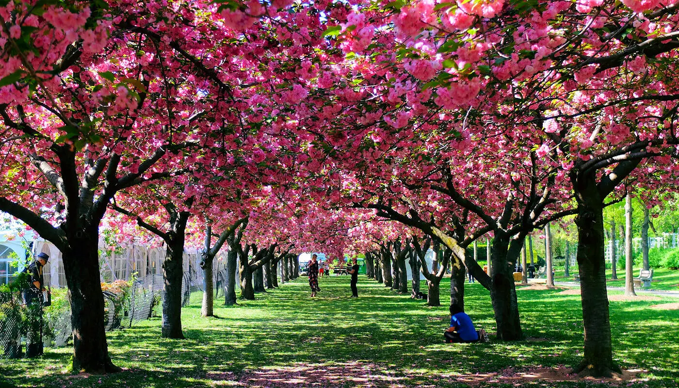 El tiempo en Nueva York - Primavera