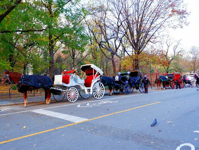 Paseo en coche de caballos por Central Park - Carruaje