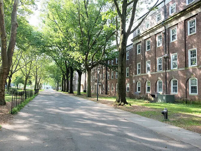 Qué ver y hacer en Governors Island - casas