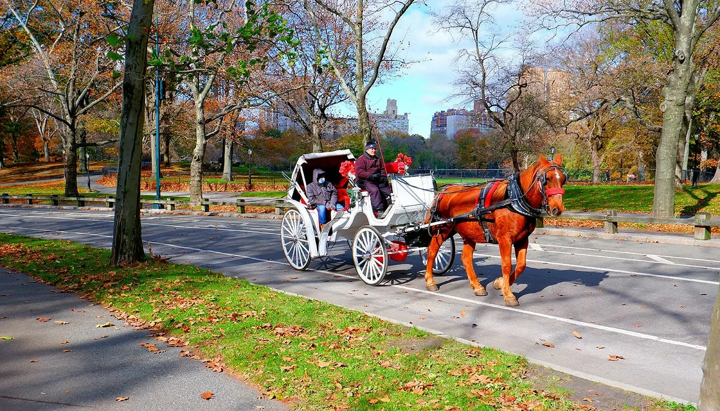 Paseo en coche de caballos por Central Park - Carruajes