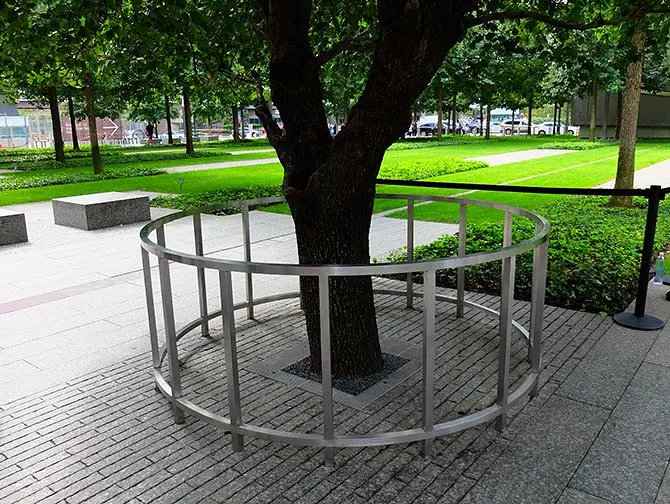 Monumento del 11-S en Nueva York - Survivor Tree
