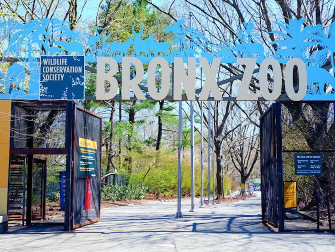 Zoo del Bronx