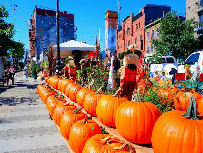 Halloween en NYC - calabazas