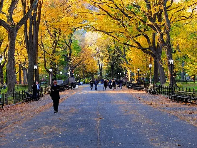 Central Park Movie Tour - The Mall