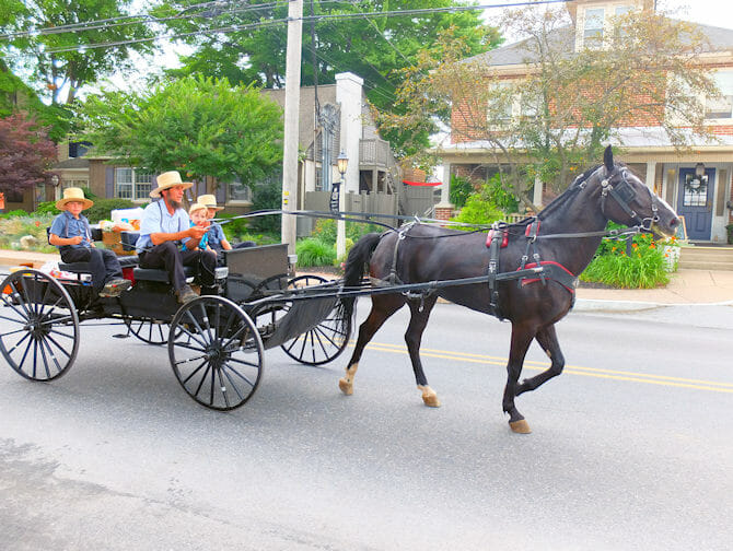 Excursión a Philadelphia y Amish Country desde Nueva York - carro Amish