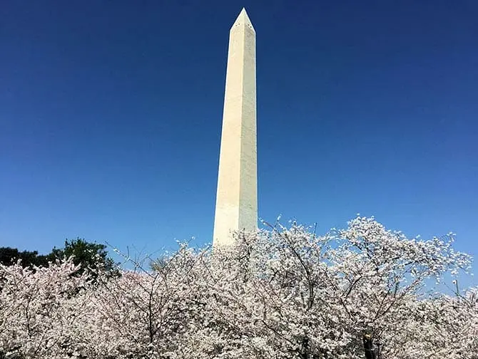 Excursión desde Nueva York a Washington DC en bus - Monumento