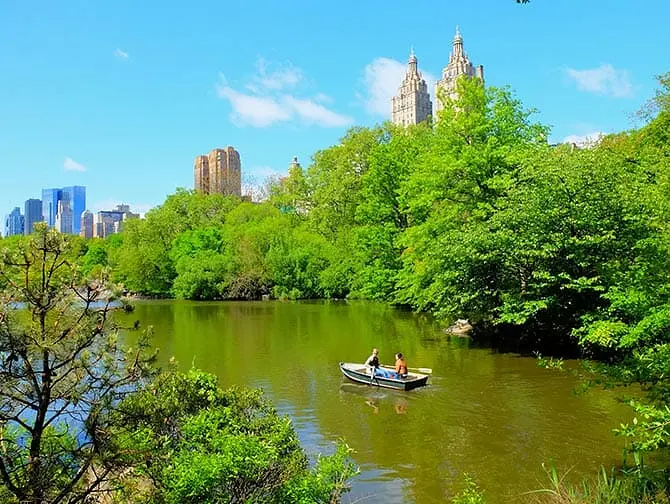 Alquiler de bote de remos en Central Park - Pareja remando