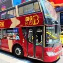 Bus turístico