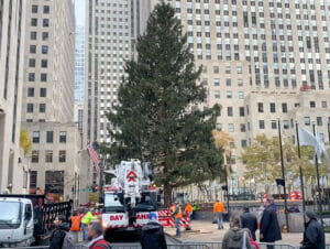 Erics Blog Rockefeller Christmas Tree
