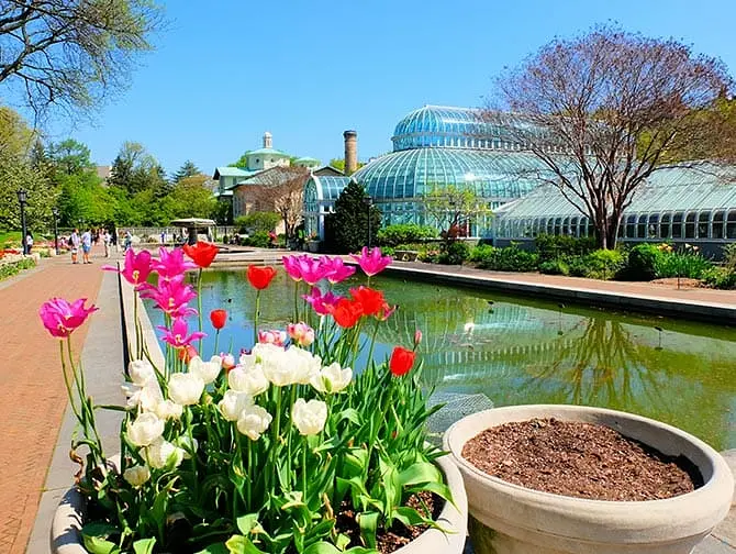 Jardines botánicos en Nueva York -Brooklyn Botanic Garden