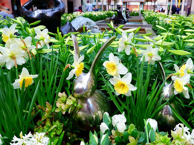 Pascua en Nueva York- Nueva York