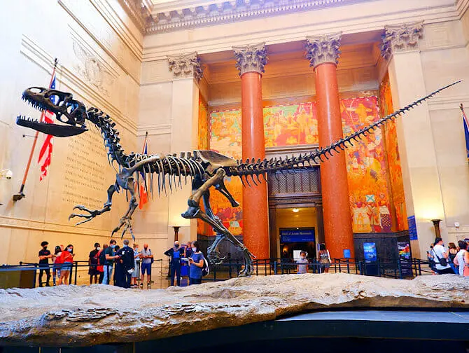 Go City All Inclusive New York Pass - Museo