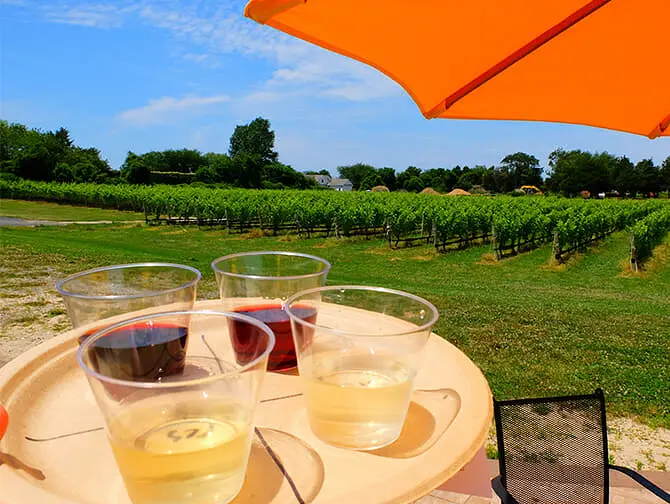 Excursión a bodegas con cata de vinos desde Nueva York - cata de vinos