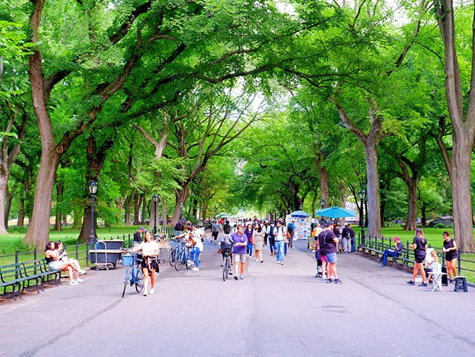 Rutas a pie por Nueva York - Central Park