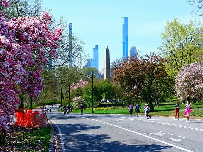 Tarjetas turísticas en Nueva York - Bicicleta