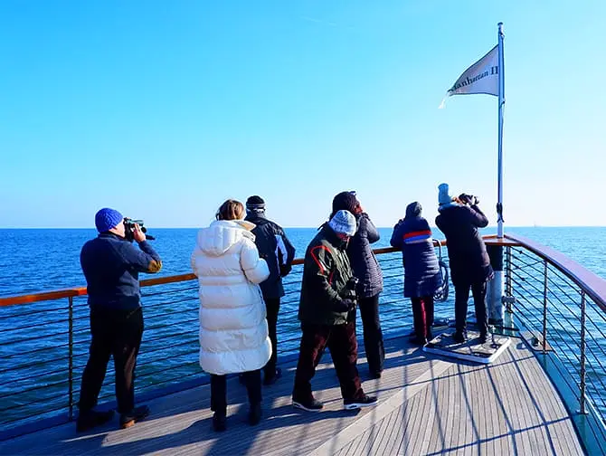 Crucero de avistamiento de aves y focas en Nueva York