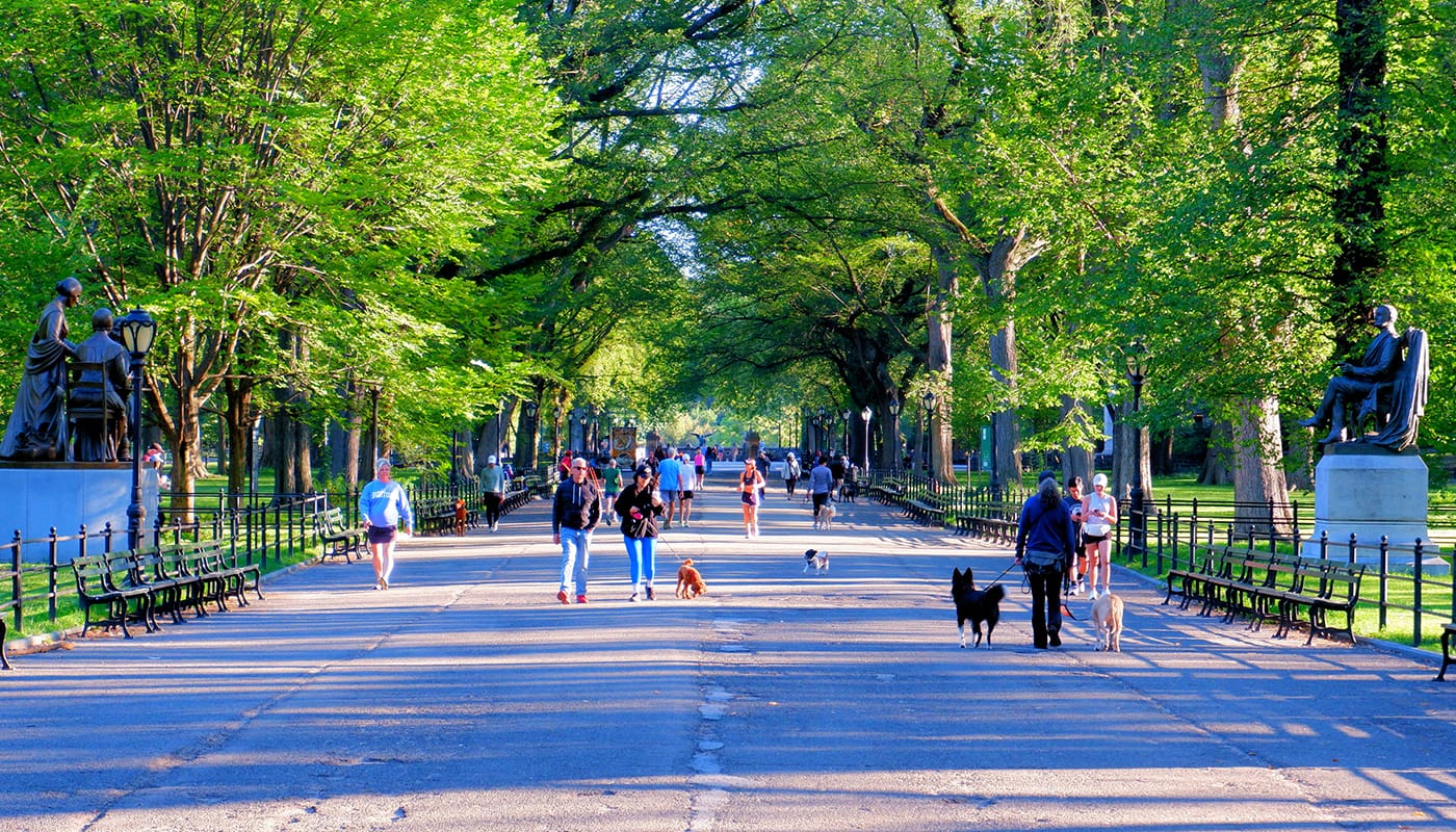 Neoyorquinos - Gente viviendo en Nueva York