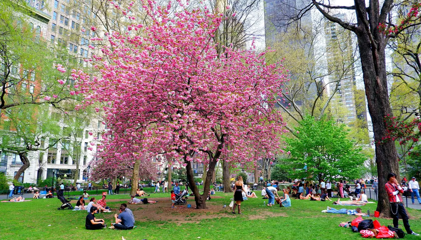 Madison Square Park en Nueva York - Lugar donde los neoyorquinos se relajan