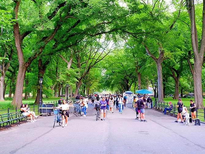 Ruta a pie por Central Park en Nueva York